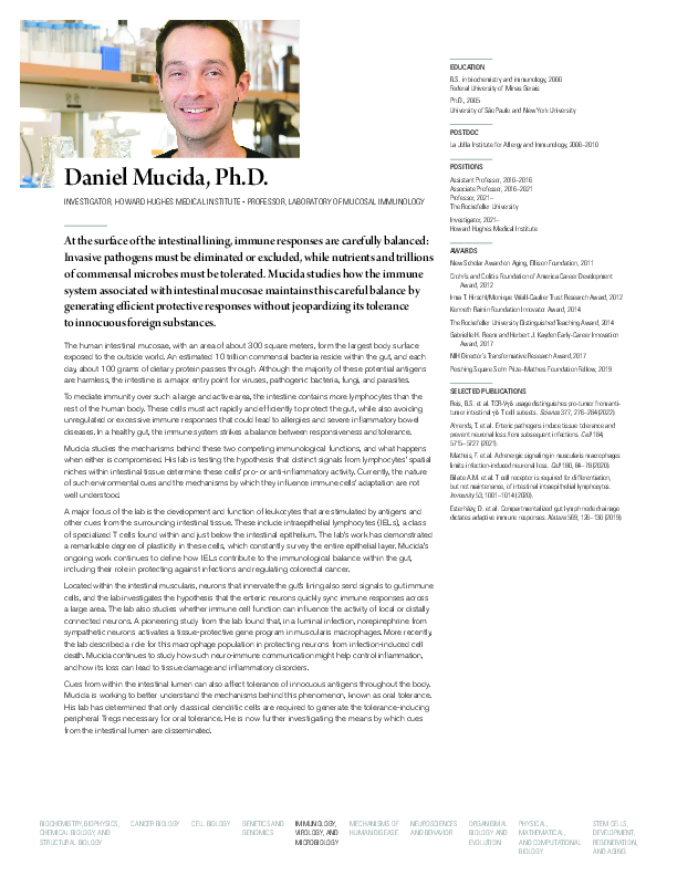 Document preview