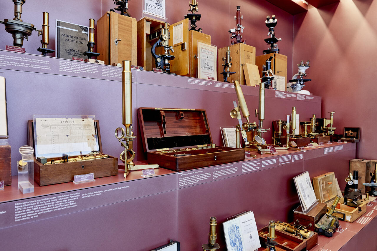 Microscopy Exhibition | Max Delbrück Center