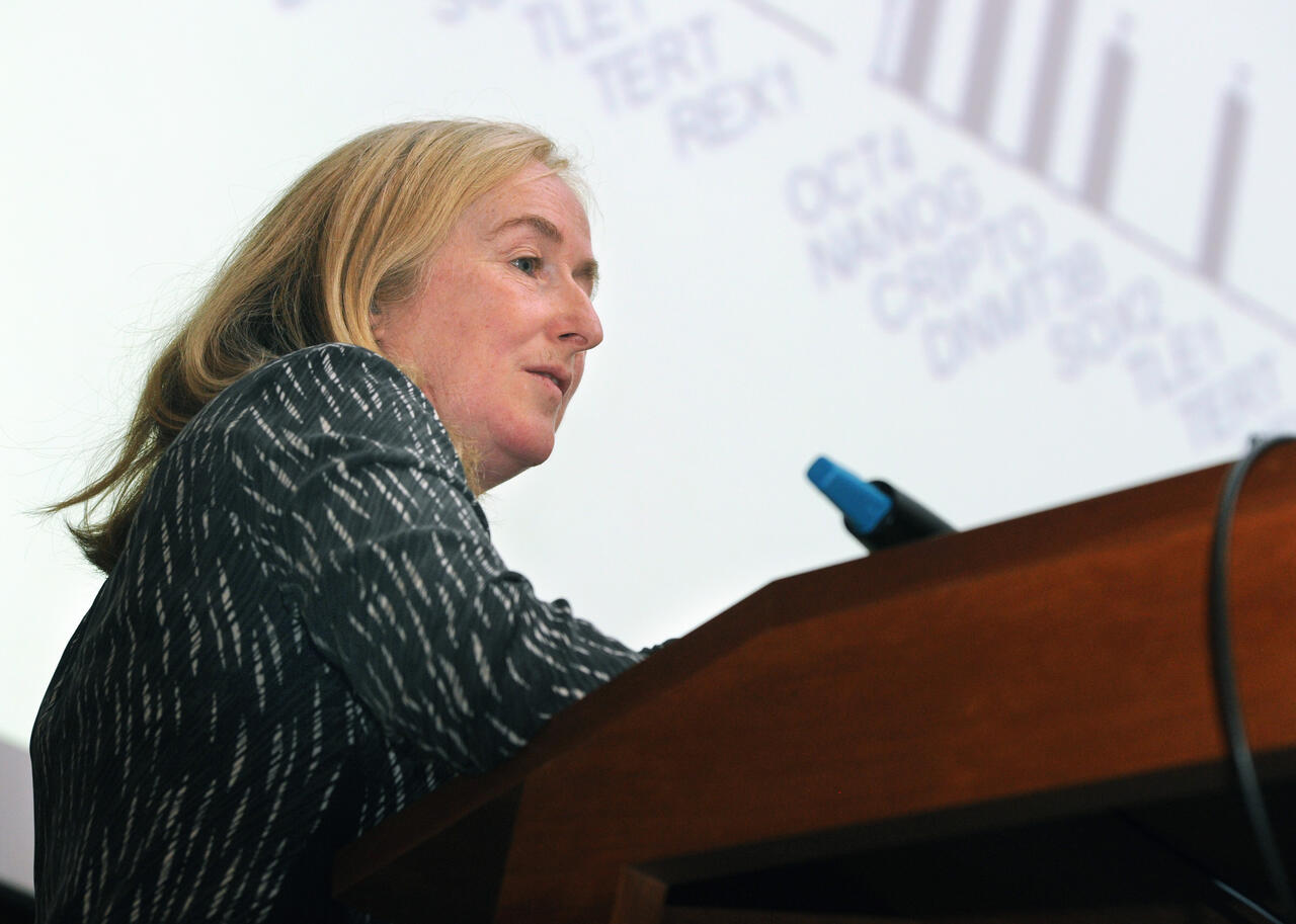 Helmholtz International Fellow Award for Professor Amanda Fisher from ...