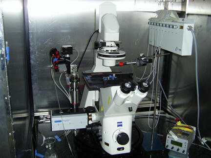 Methods Max Delbrück Center for Molecular Medicine