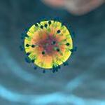 immune-system-1132182_1920
