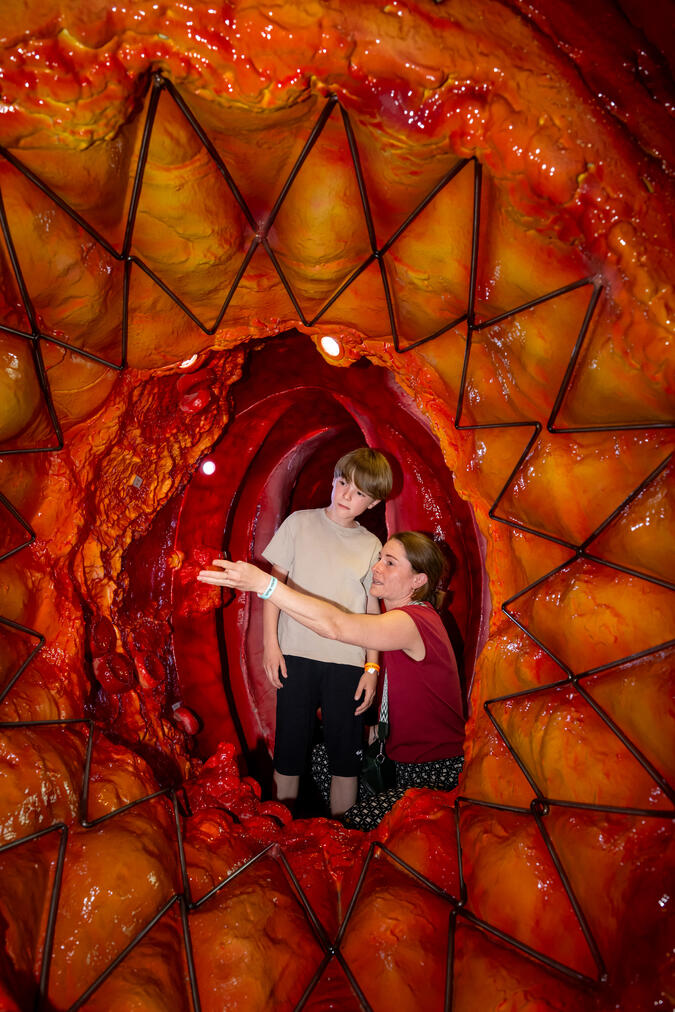 people in a walk-in vene