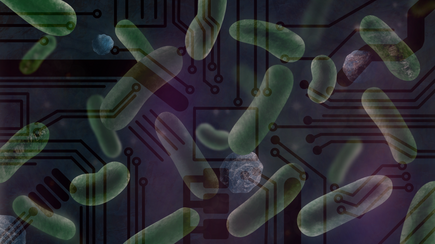 Wissenschaftliche Illustration