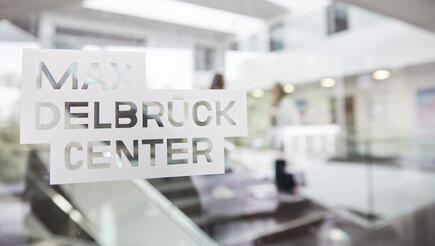 Logo des Max Delbrück Center auf einer Glasscheibe