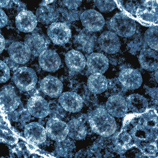 Thinking Ahead Prototype Vaccines Max Delbrück Center