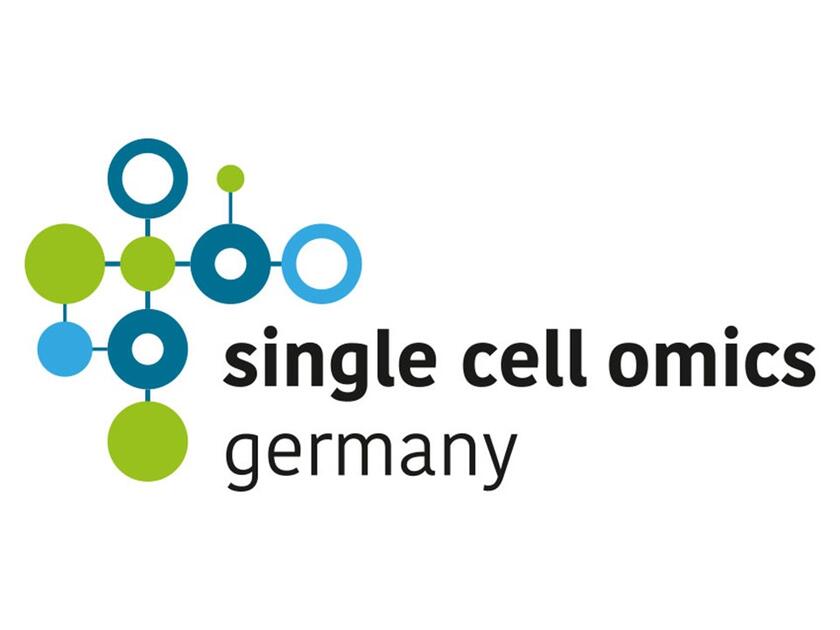 Michael Ratz - Next generation lineage tracing of mouse brain ...