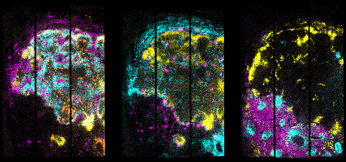 Millions in funding for two Clusters of Excellence